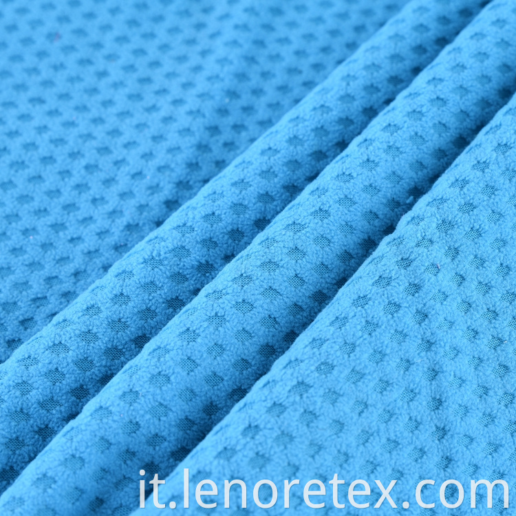 Polar Fleece Fabric